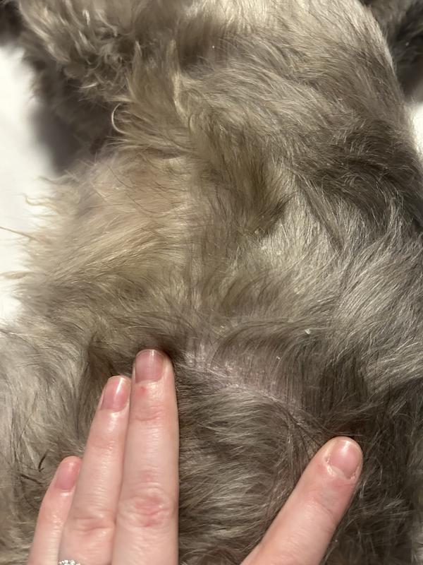 His whole body looked like this.