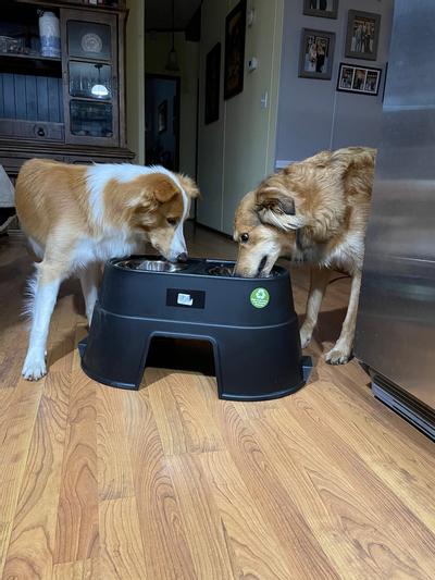 Porch Potty Elevated Pet Feeding Station - No-Spill Wooden Dog Bowls With Tray, Portable & Mess-Free