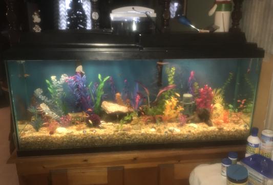 after several months