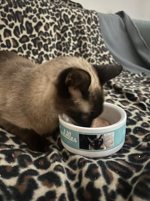 Cuddles loved eating from her bowl!