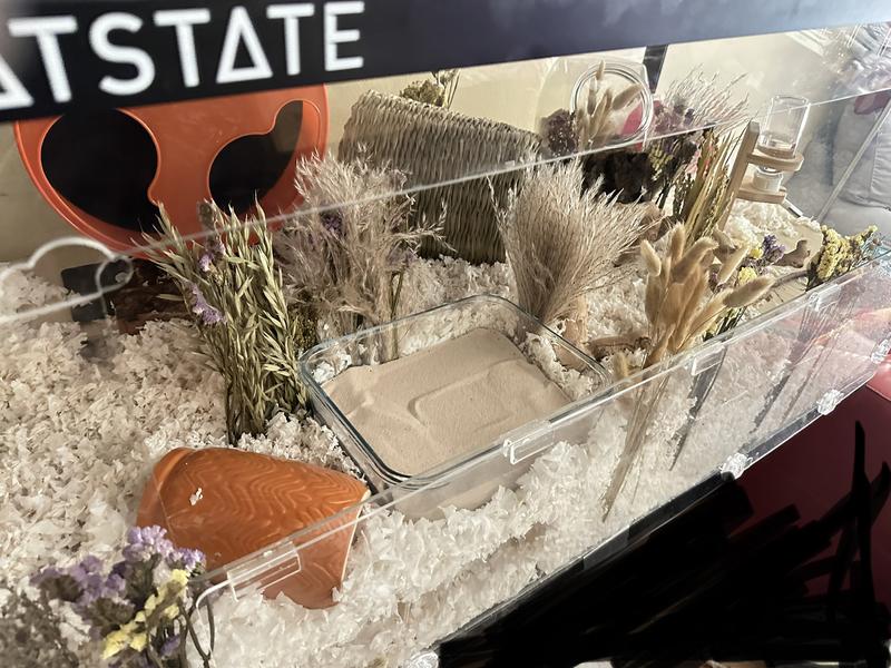 Hamster cage with half this bedding and half Tafit which is excellent but a bit expensive
