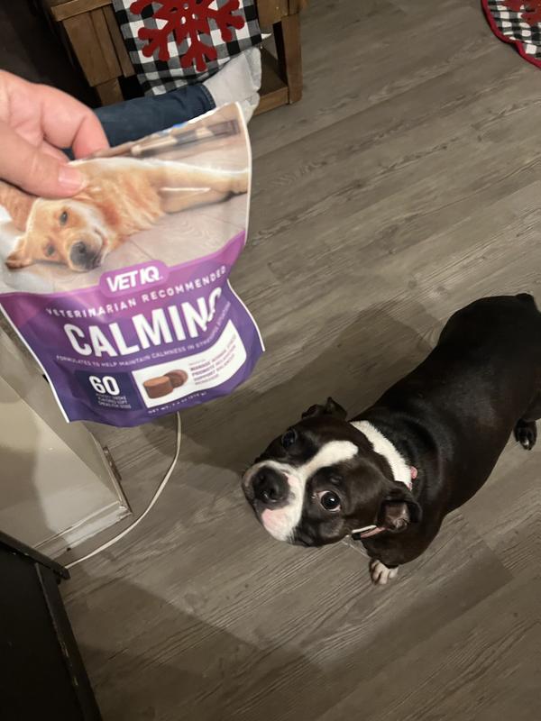 Vetiq calming outlet puppy treats