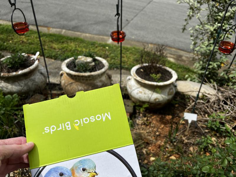 Hmm. I ordered ‘clear’ glass.