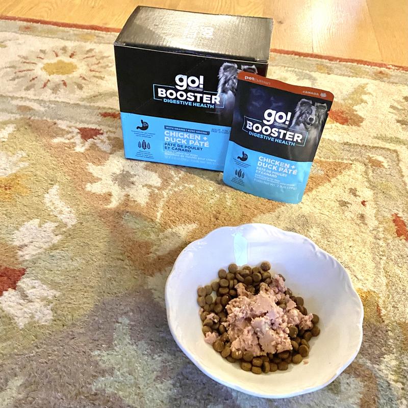 Being told to wait while I take pics is hard, as you can see on his face...