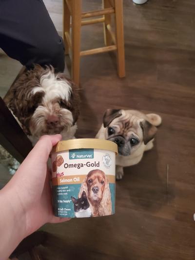 Naturvet best sale omega gold