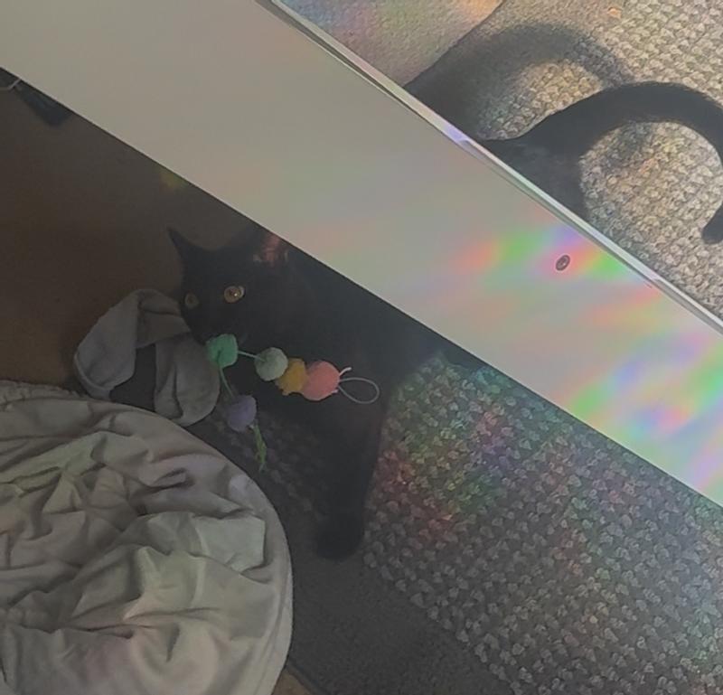 He loves carrying his caterpillar!