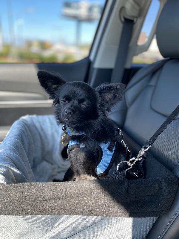 A good travel companion