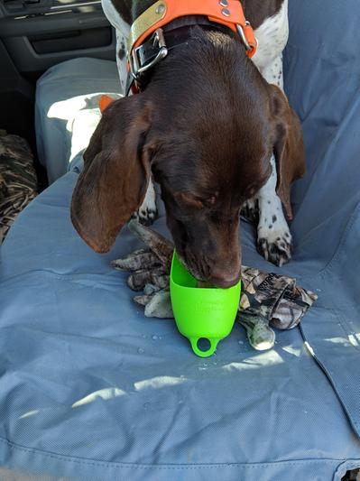 KONG® Insulated Dog Water Bottle