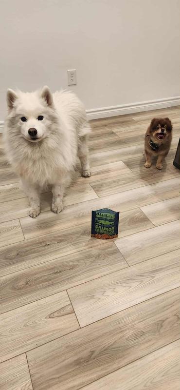 Focused on the reward