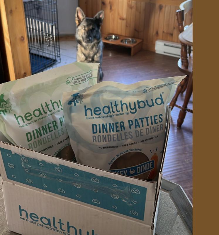 Freeze-Dried Food Healthybud Patties Frozen Raw