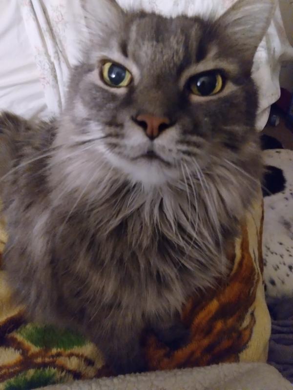 waiting for treats at 315 am