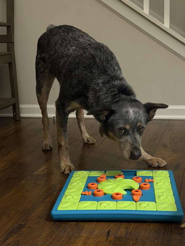 One Happy Heeler 🥰