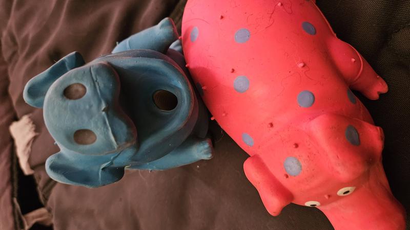 Dog Squeeze Toy,Squeaky Pig Dog Toys, Blue Latex Grunting Pig Dog