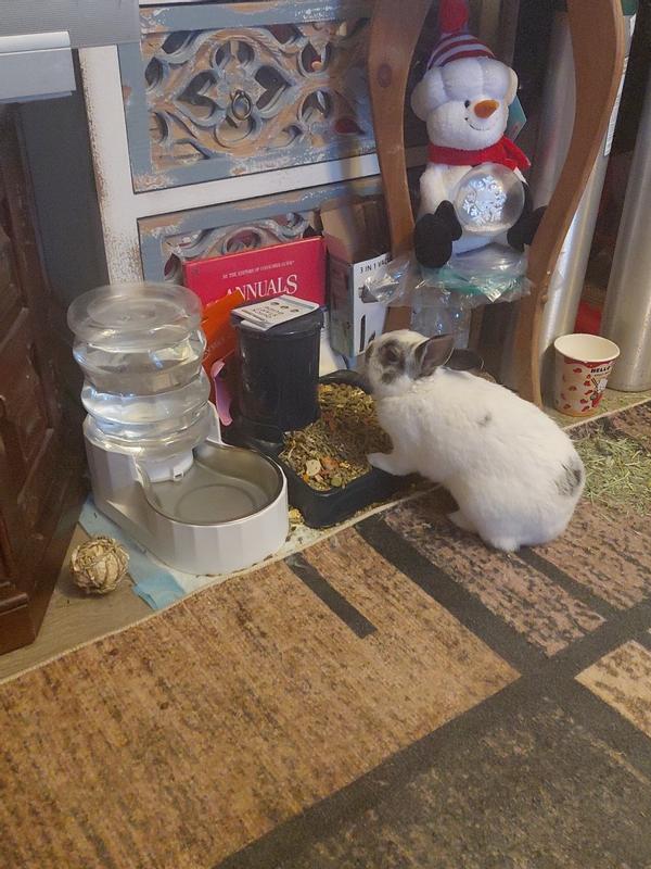 Having his breakfast!!