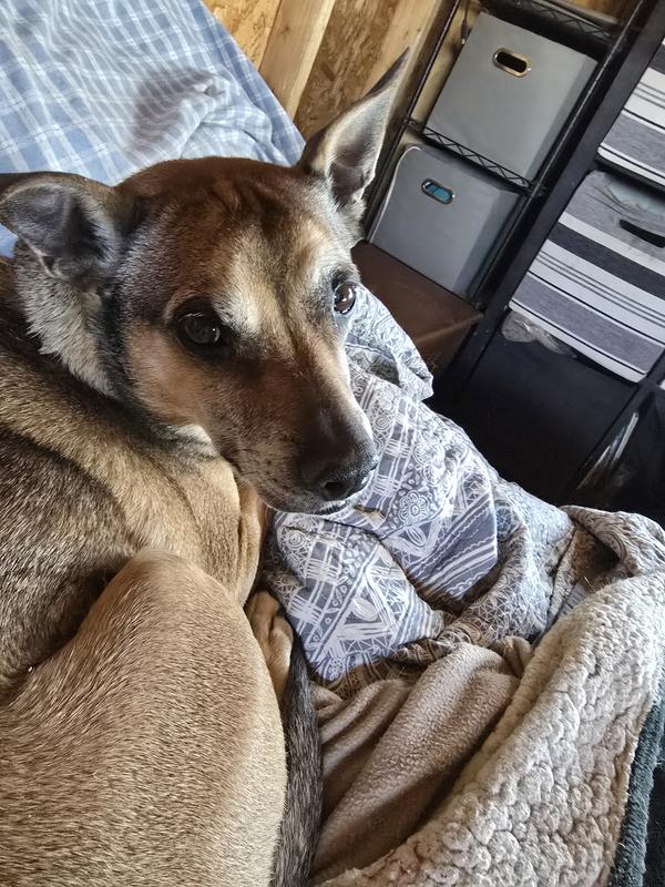 Hes a mommy's boy 7+