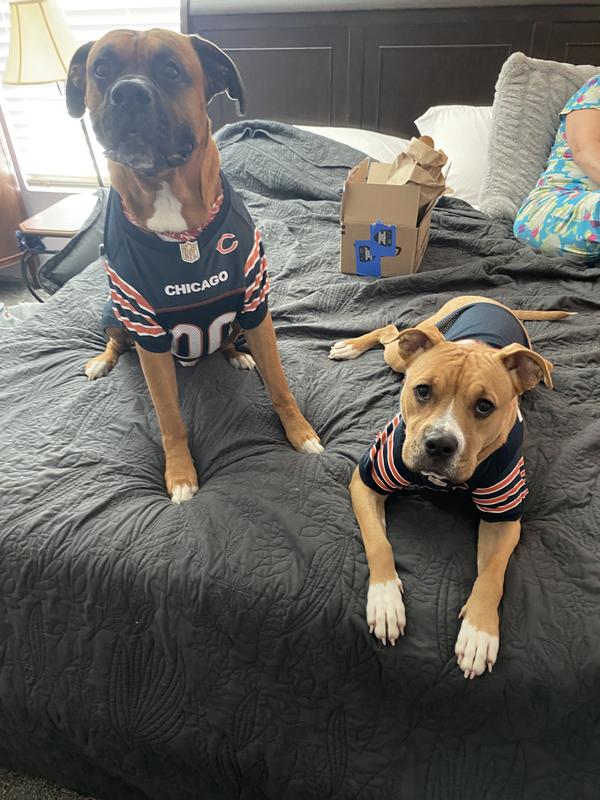 Da Bears