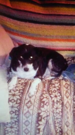 this dusty rose and she is greatly missed