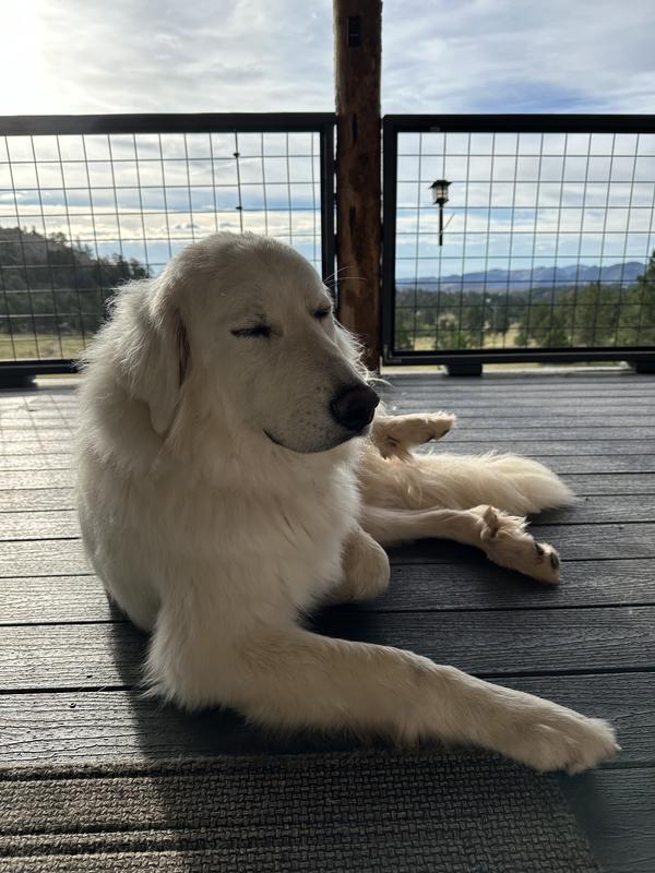 After enjoying a bowl.