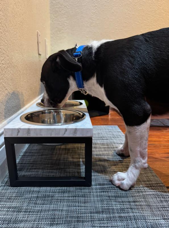 Frisco Marble Print Stainless Steel Double Elevated Dog Bowl