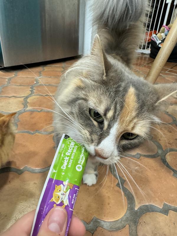 PetSafe Feline Lickety Stik Dairy Cat Treat