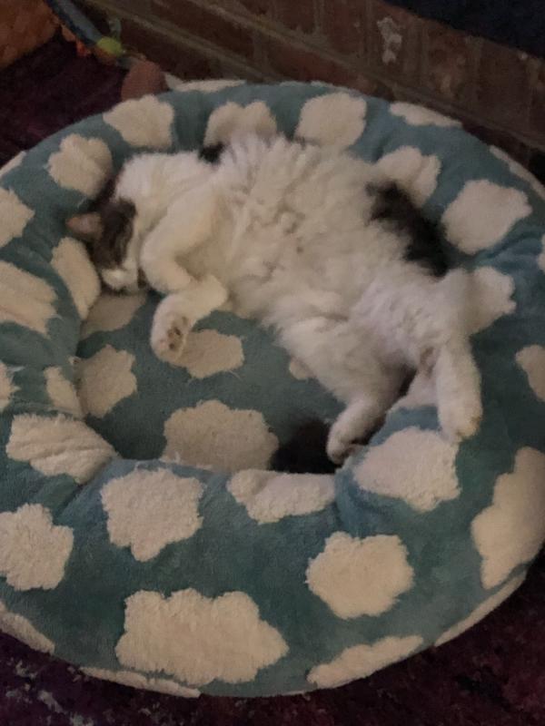 Fred the official treat tester