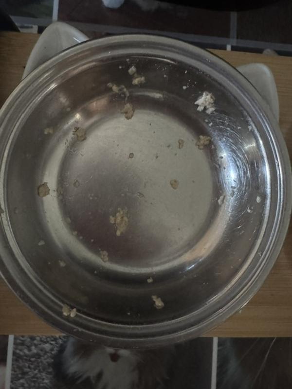 Licked the bowl CLEAN