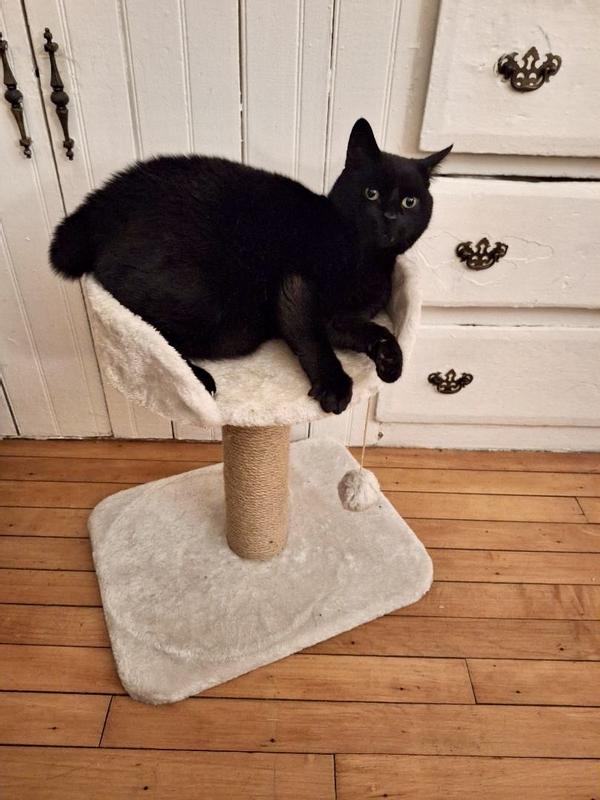 Piaf loves her new Post!