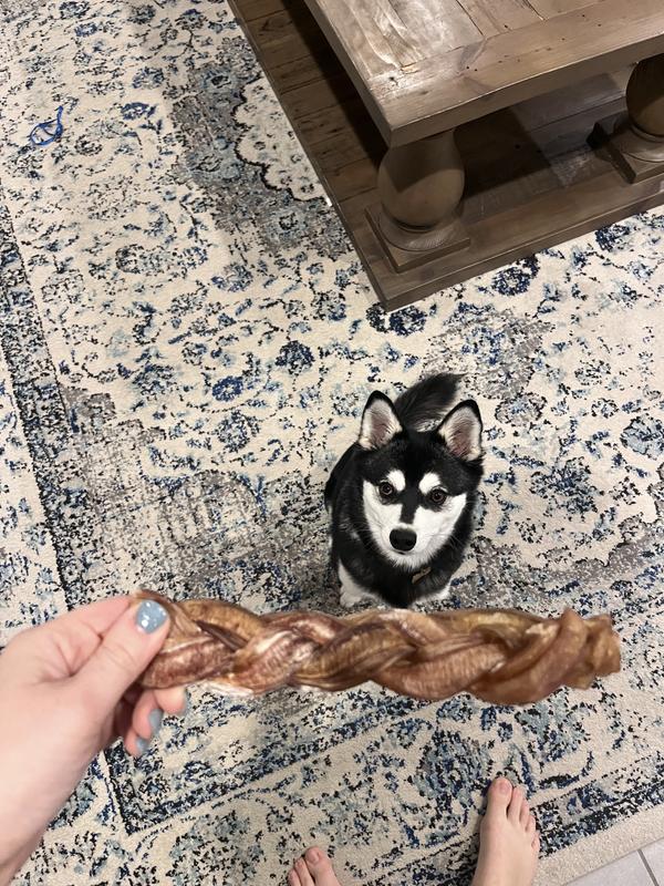 PAWSTRUCK Braided Bully Sticks Dog Treats, 1lb bag, 9in