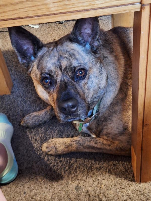 Is it time to eat yet