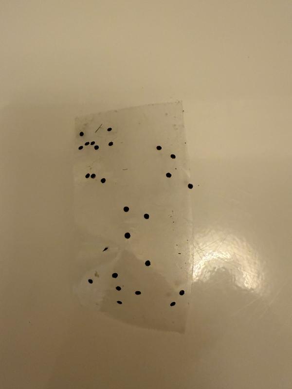 Gripper dots that came off in the dryer. Had to use tape to get them off the drum.