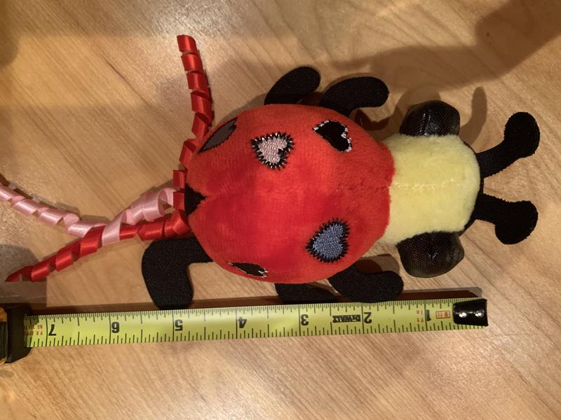 Valentine Ladybug cat toy, by Frisco, is bigger than I expected.