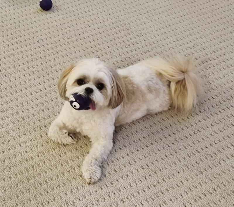 Moxee with one of her peas