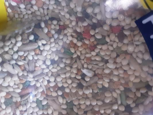 Colored seeds, with little variety.