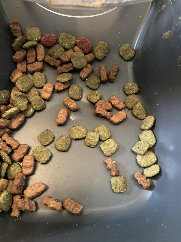 Green bits left behind