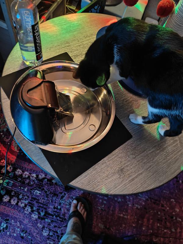 Discontinued PETSAFE Drinkwell Zen Stainless Steel Dog & Cat Fountain