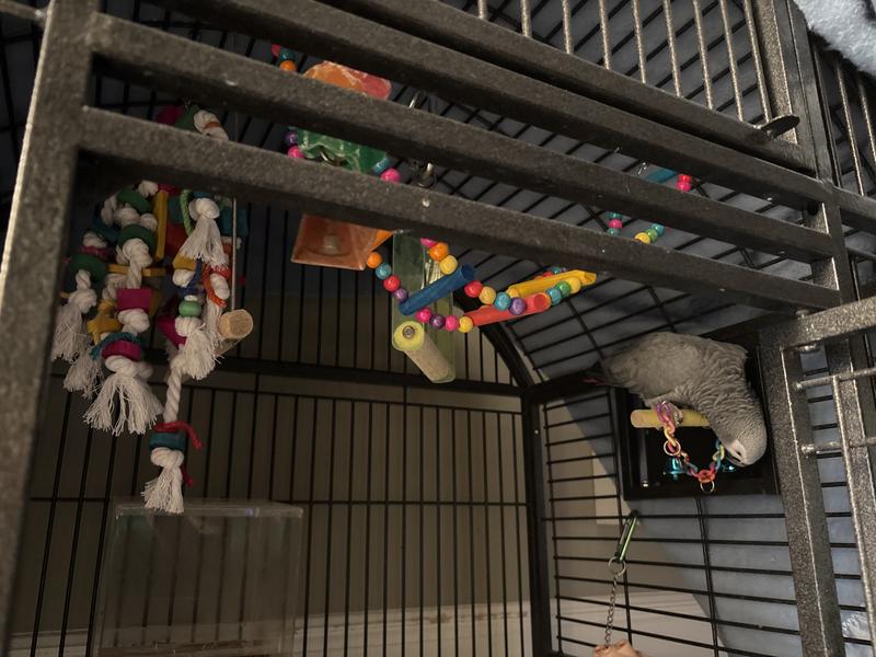 One Happy Gradybelle!