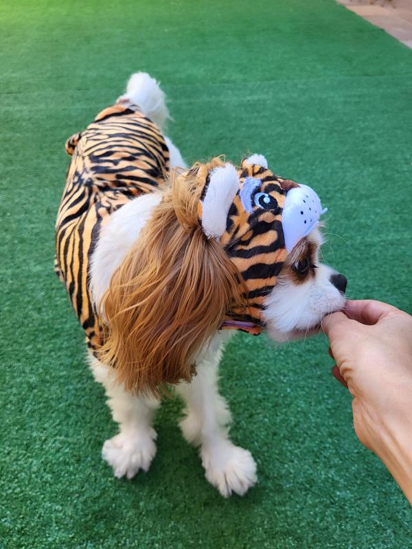 Dog 2024 tiger costume