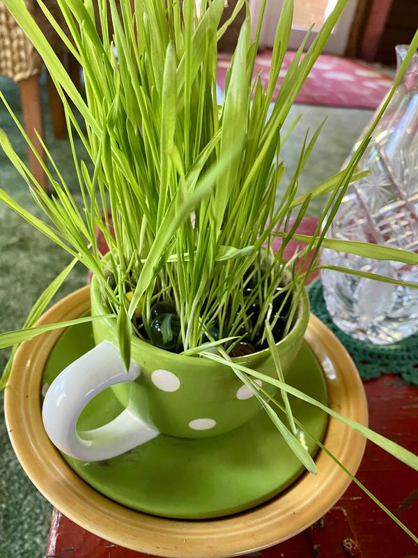 Used different container