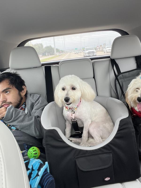 TRIXIE Dog Car Booster Seat