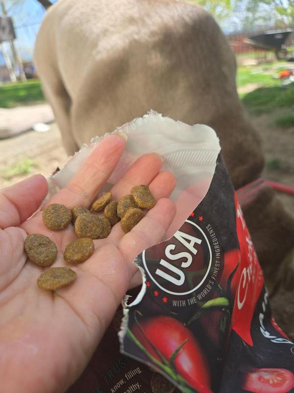 perfect size kibble for all size dogs