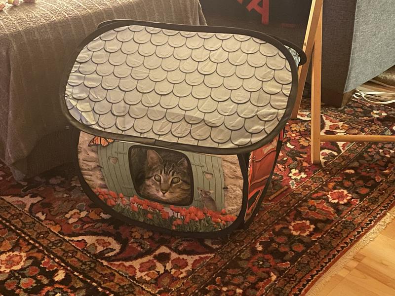 Cat House Kong Cat Play Spaces Bungalow 41,5X41,5X41,5 CM Play House