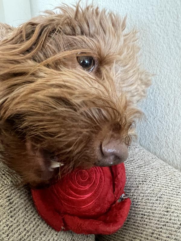 Loving the sweet scent