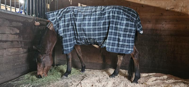 Great coverage & neck comfort