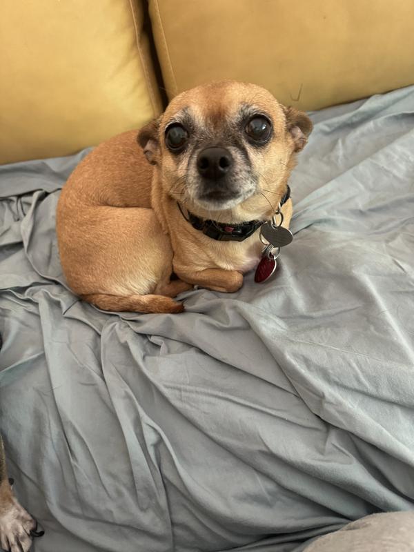 7 pounds of love