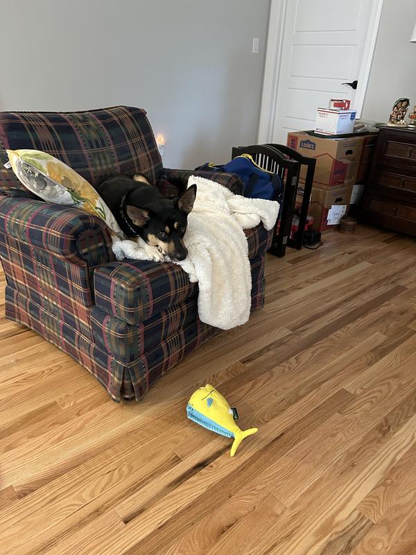 Hmm I think I like this fish!