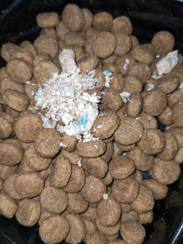 VITAL ESSENTIALS Freeze Dried Raw Beef Tripe Nibs Dog Treats 14