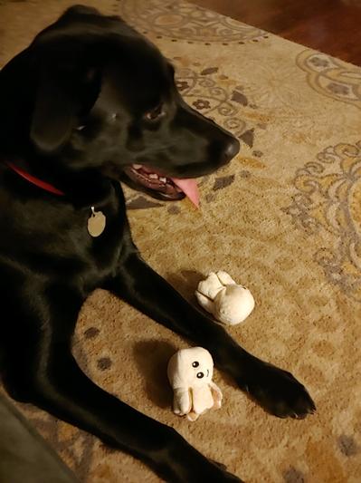 clover the cow scentsy buddy clip