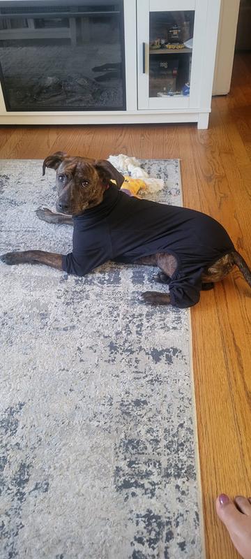 Great buy!! It really keeps him warm