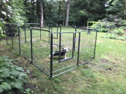 Precision pet courtyard clearance kennel exercise pen