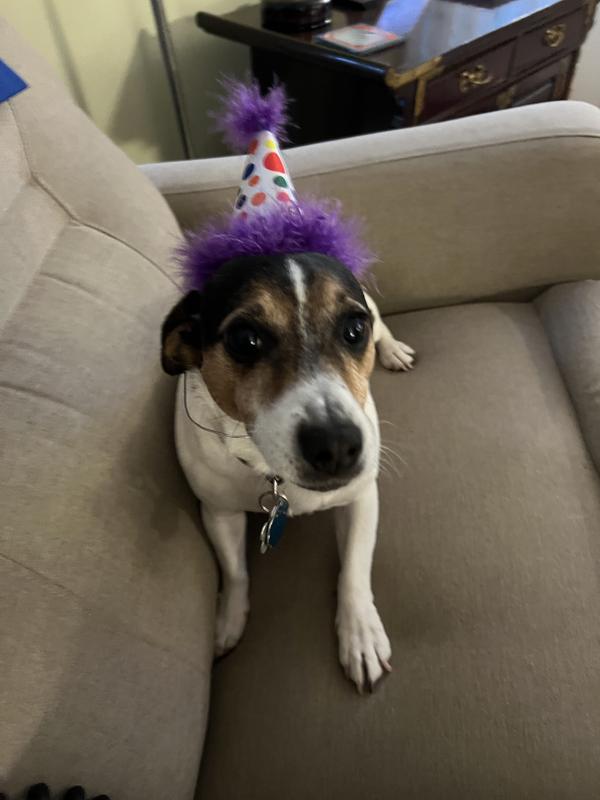 Testing it out before the party